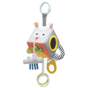 Cubo de desarrollo Taf Toy